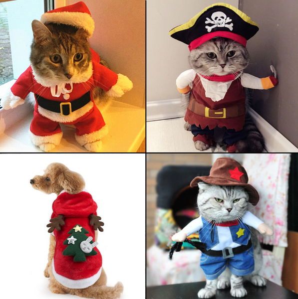 Costume déguisement pour chat et chien. Père noël, pirate, renne