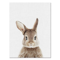 Poster bébés animaux mignons. Peintures imprimées sur toiles. Renard écureuil hérisson girafe ours chouette