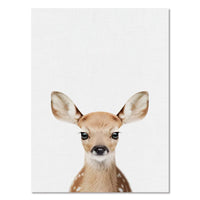 Poster bébés animaux mignons. Peintures imprimées sur toiles. Renard écureuil hérisson girafe ours chouette