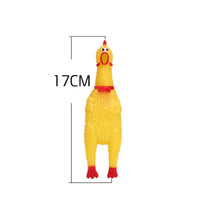 Jouet pour chiens, poulet qui crie