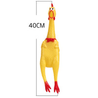 Jouet pour chiens, poulet qui crie