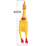 Jouet pour chiens, poulet qui crie