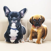 Coussin personnalisé 3D avec photo et forme de votre animal ! Peluche 20 à 90cm