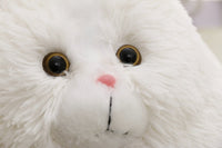 Peluche chat obèse, 30 à 50cm. Coussin chat persan mignon