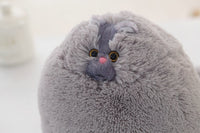 Peluche chat obèse, 30 à 50cm. Coussin chat persan mignon