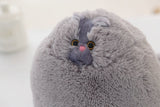Peluche chat obèse, 30 à 50cm. Coussin chat persan mignon