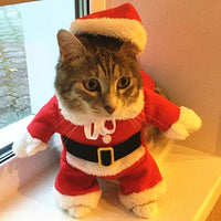 Costume déguisement pour chat et chien. Père noël, pirate, renne