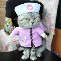 Costume déguisement pour chat et chien. Père noël, pirate, renne