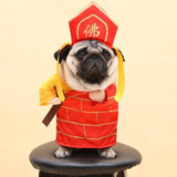 Costume déguisement pour chat et chien. Père noël, pirate, renne