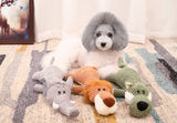 Jouets peluches animaux pour chien : Lion Éléphant Chien
