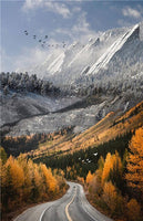 Tableau paysage sur toile, nature avec route et forêt. Poster style nordique