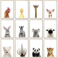 Posters de bébés animaux mignons en couleur. Peintures imprimées sur toiles. Mouton, cochon, canard, poule, éléphant, zèbre
