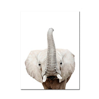 Posters de bébés animaux mignons en couleur. Peintures imprimées sur toiles. Mouton, cochon, canard, poule, éléphant, zèbre
