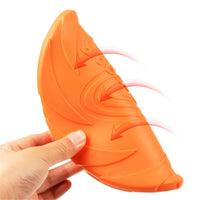 Frisbee pour chien. Jouet de forme de disque à jeter