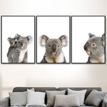 Posters de koala mignons en couleur. Peintures imprimées sur toiles.
