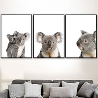 Posters de koala mignons en couleur. Peintures imprimées sur toiles.