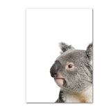 Posters de koala mignons en couleur. Peintures imprimées sur toiles.