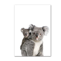Posters de koala mignons en couleur. Peintures imprimées sur toiles.
