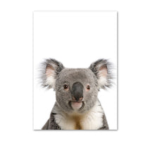 Posters de koala mignons en couleur. Peintures imprimées sur toiles.