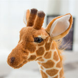 Peluche girafe géante ! Grande girafe de 50cm à 1m40.