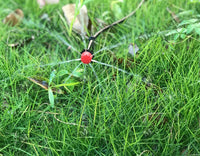 Système d'arrosage automatique avec goutte à goutte jusqu'à 50 mètres