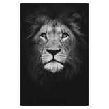 Toiles animaux de la savane, posters photos noir et blanc, Lion Éléphant Girafe Cheval