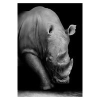 Toiles animaux de la savane, posters photos noir et blanc, Lion Éléphant Girafe Cheval