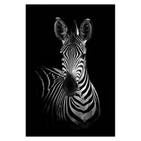 Toiles animaux de la savane, posters photos noir et blanc, Lion Éléphant Girafe Cheval