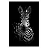 Toiles animaux de la savane, posters photos noir et blanc, Lion Éléphant Girafe Cheval
