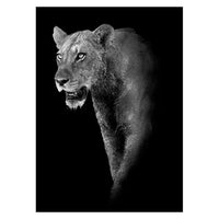 Toiles animaux de la savane, posters photos noir et blanc, Lion Éléphant Girafe Cheval