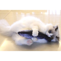 Jouet peluche poisson pour chats