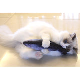 Jouet peluche poisson pour chats