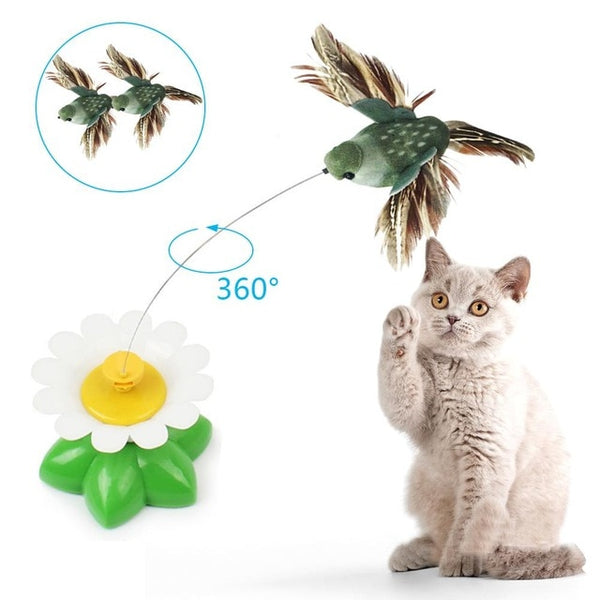 Jouet électrique rotatif papillon ou oiseau pour chats