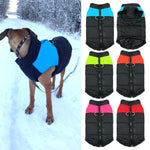 Veste pour chien et chiot. Manteau waterproof doudoune imperméable