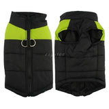 Veste pour chien et chiot. Manteau waterproof doudoune imperméable