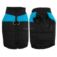 Veste pour chien et chiot. Manteau waterproof doudoune imperméable