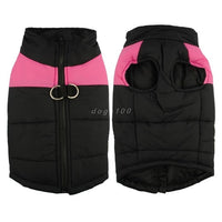 Veste pour chien et chiot. Manteau waterproof doudoune imperméable