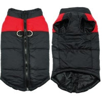 Veste pour chien et chiot. Manteau waterproof doudoune imperméable