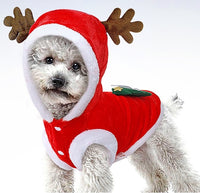 Déguisement de Noël pour chien ou chat, costume de renne