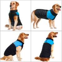 Veste pour chien et chiot. Manteau waterproof doudoune imperméable