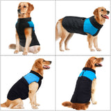 Veste pour chien et chiot. Manteau waterproof doudoune imperméable
