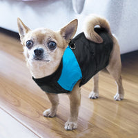 Veste pour chien et chiot. Manteau waterproof doudoune imperméable