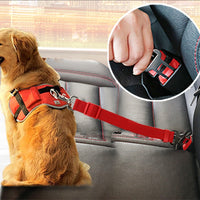Ceinture pour chien ou chat pour voiture. Harnais à clipser sur la boucle de sécurité