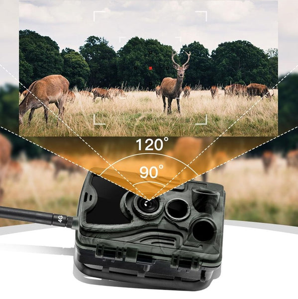 Caméra de chasse 20Mpx, photos d'animaux sauvages ou surveillance