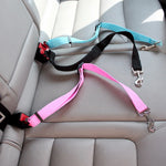 Ceinture pour chien ou chat pour voiture. Harnais à clipser sur la boucle de sécurité