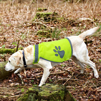 Gilet jaune pour chien. Veste réfléchissante pour chiens