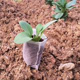 100 sachets biodégradables pour semis. Idéal graines fruits et légumes
