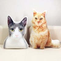 Coussin personnalisé 3D avec photo et forme de votre animal ! Peluche 20 à 90cm