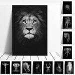 Toiles animaux de la savane, posters photos noir et blanc, Lion Éléphant Girafe Cheval